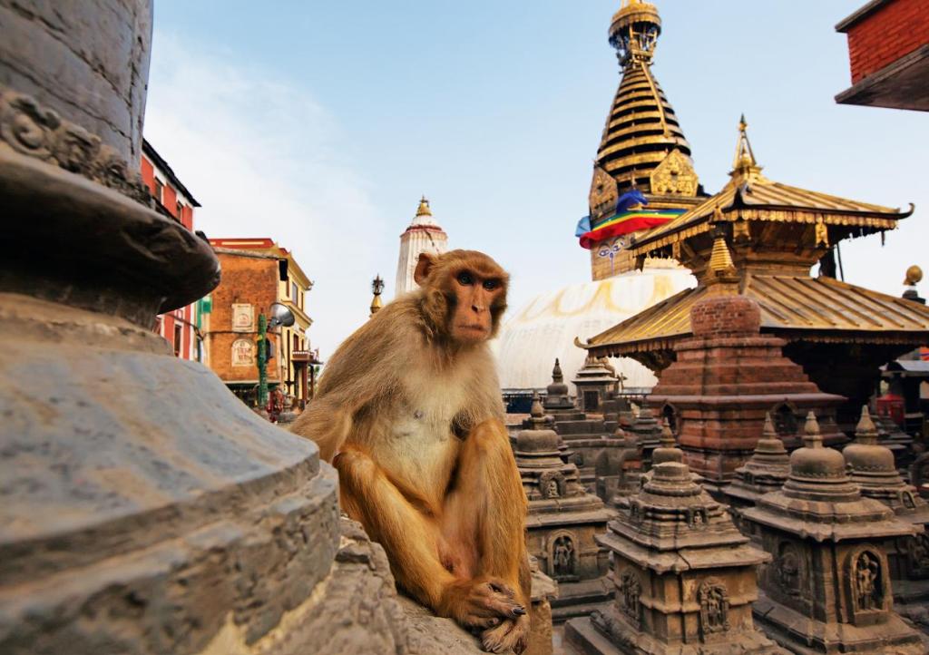 Гималайские открытия: Непал и Бутан
