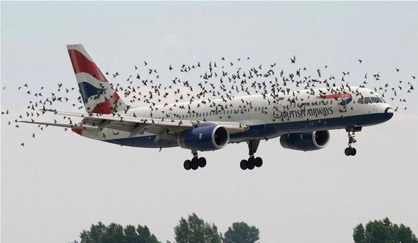 Пассажиры обвинили British Airways в унижении нищебродов