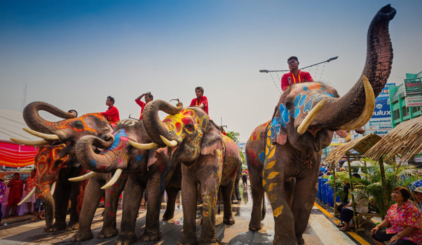 Туристы в Таиланде пострадали от нападения слонов