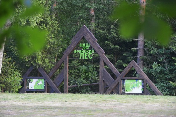 Заповедник «Брянский лес» в этом году посетили семь тысяч туристов
