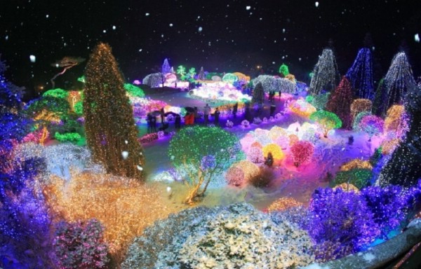 Фестиваль зимней иллюминации идет в провинции Кёнгидо