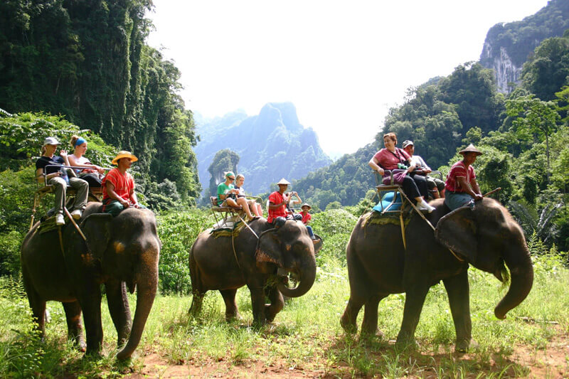 Слон насмерть затоптал туриста в Таиланде